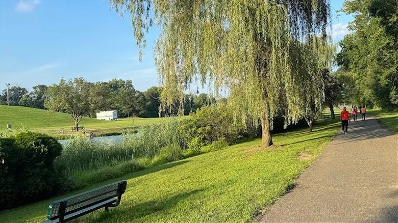 Greenery and trees at Laurel Acres Park
