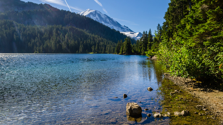 Mowich Lake, Mount Rainier National Park