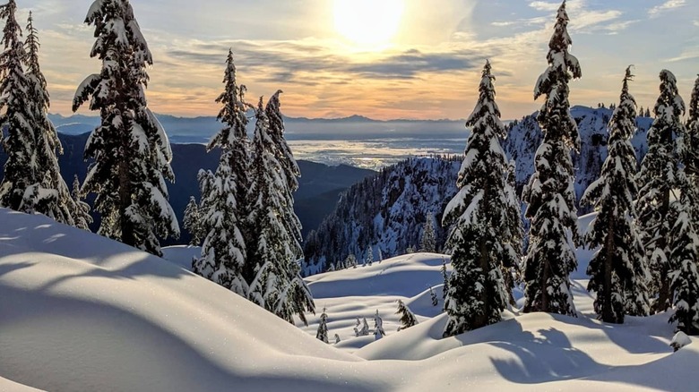 Snow-covered hills with trees against Mount Seymour's vistas