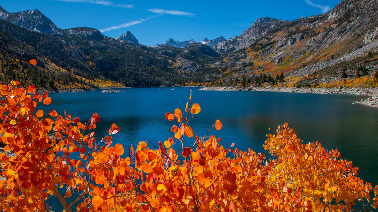 Fall foliage at Lake Sabrina