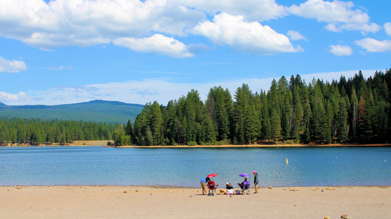 Photo of people relaxing on the shores of Lake Siskiyou