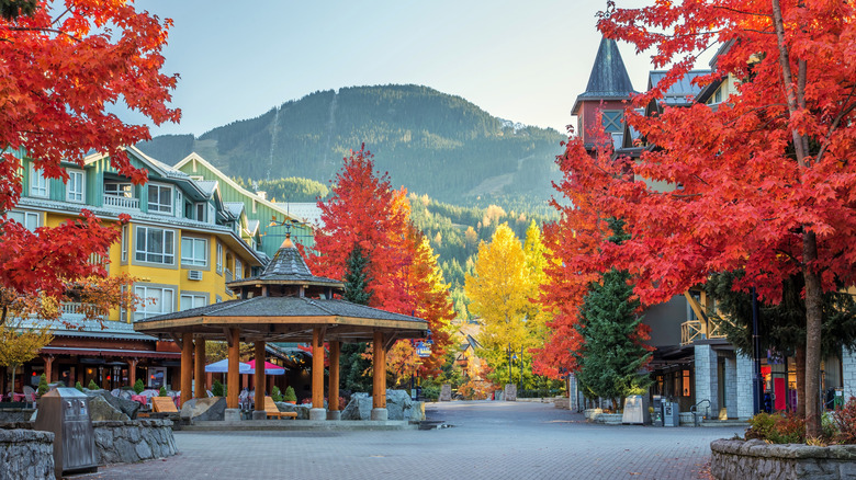 Red and yellow leaves on autumn trees in front of Whistler Village alpine architecture during fall, mountains looming in distance