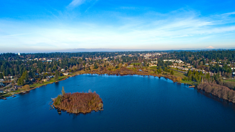 aerial view of edmount island nested in Lake Ballinger with the city of mountlake terrace in the background a distance from the far shoreline