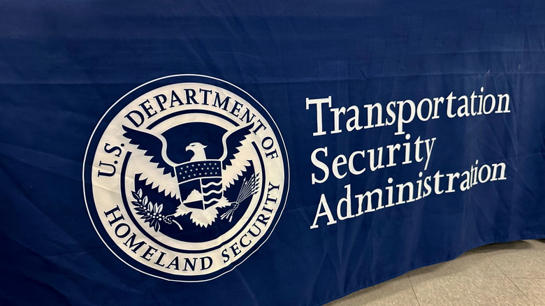 TSA logo