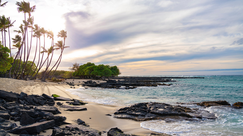 Misty view of Waialea Beach on the Kohala Coast, light waves lapping white sand beach with palm trees overhead