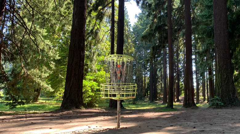 A disc golf basket within the woods of Pier Park