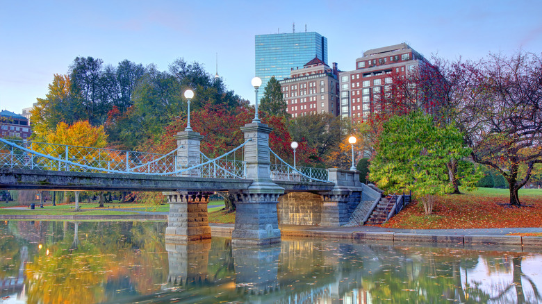 The pedestrian footbridge in the Public Garden surrounded by trees with fall leaves
