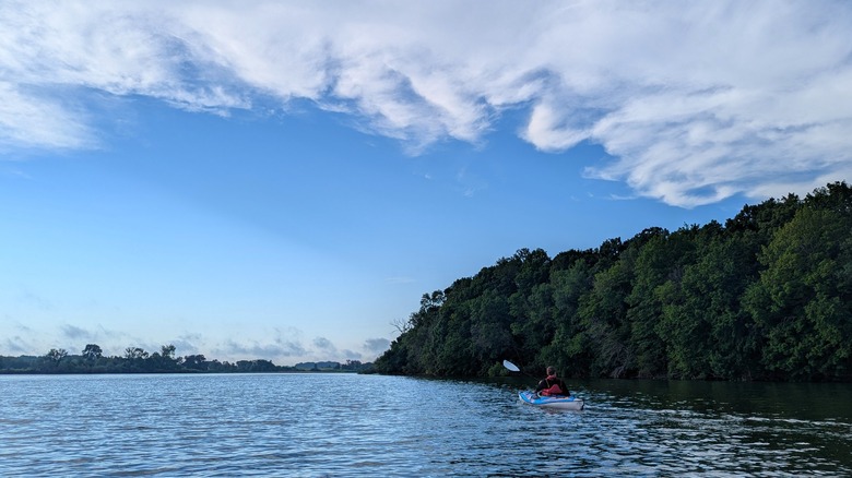Person kayaking along the shore on Albert Lea Lake at Myre-Big Island State Park, Minnesota