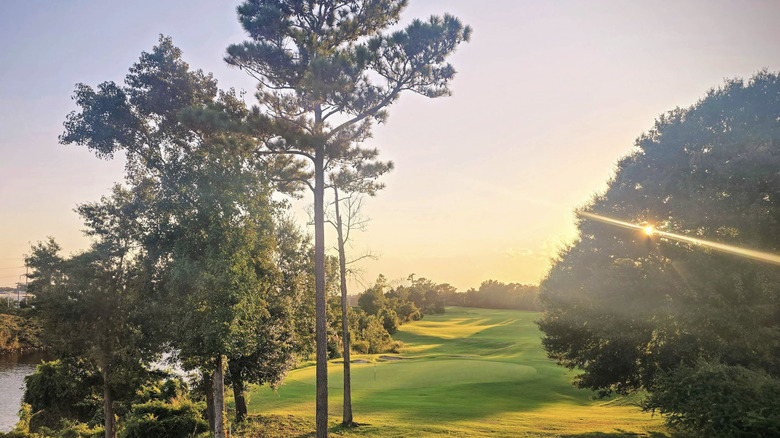 A green fairway with water and trees on a golf course in Myrtle Beach.