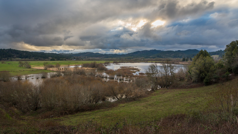 The river valley with mountain views in Myrtle Point, Oregon