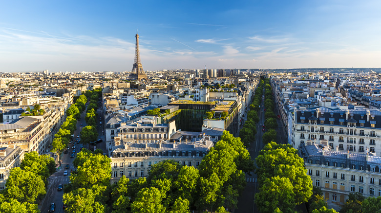 Parisian skyline