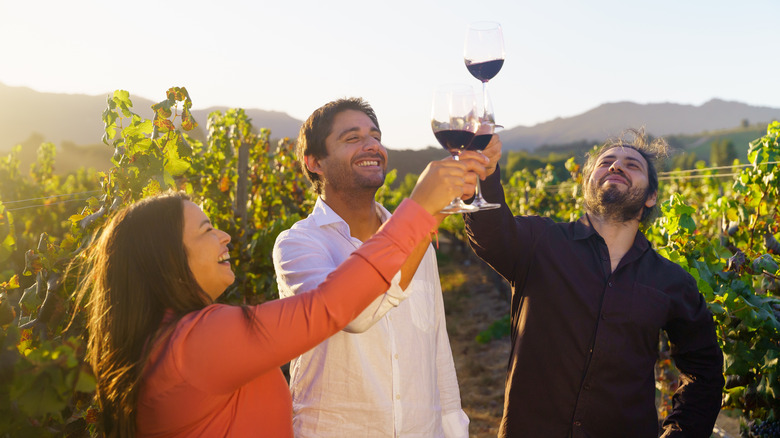 Winemakers toasting with glasses of wine in a vineyard