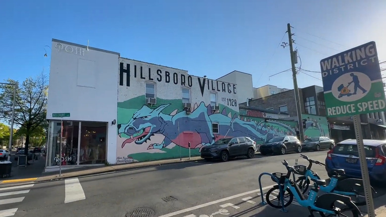 the dinosaur mural of Hillsboro Village from across the street