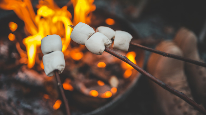 Marshmallows on roasting sticks over a campfire