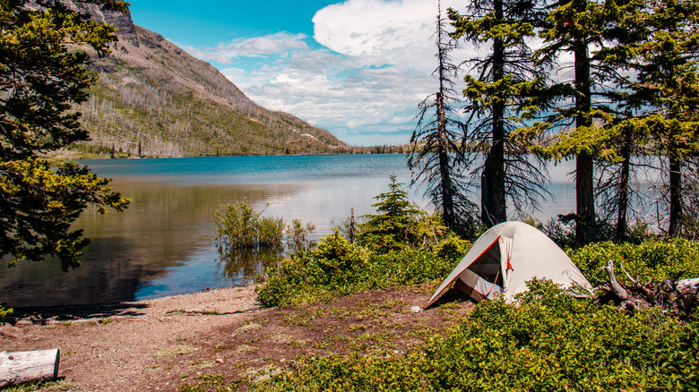 Photograph of a tent alongside a mountain lake on a mostly clear day in Glacier National Park