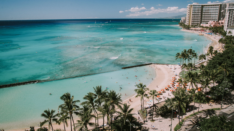 An aerial view of Waikiki Beach with palm trees and ocean.