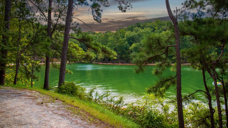 View of Lake Allatoona from Red Top Mountain State Park