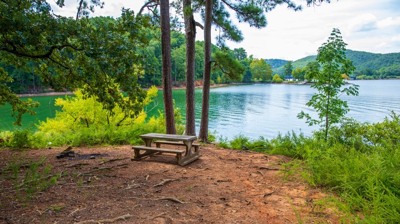 Picnic table overlooking Lake Allatoona