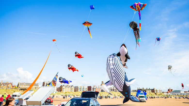 Kites flying at the  St Anns International Kite Festival