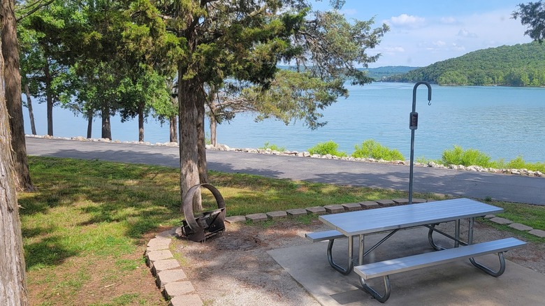 A campsite with a picnic table on the waterfront at Old Highway 86 Campground