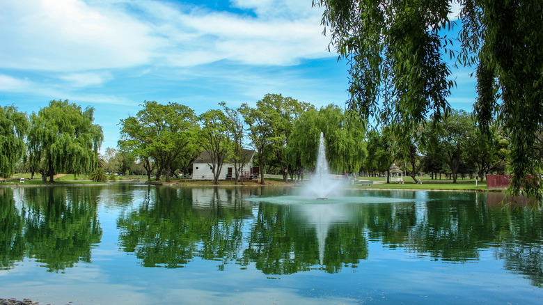 A lake and fountain in Elk Grove Park surrounded by trees