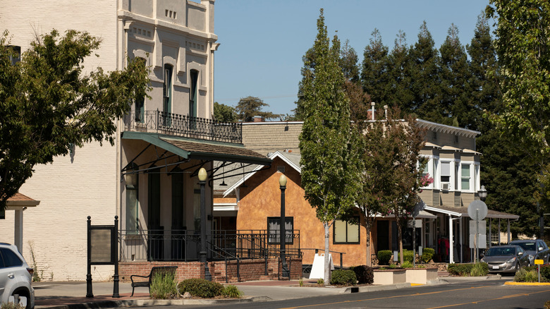 Buildings alongside trees in Elk Grove's downtown