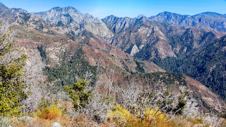 Mountainous, challenging Ventana Wilderness