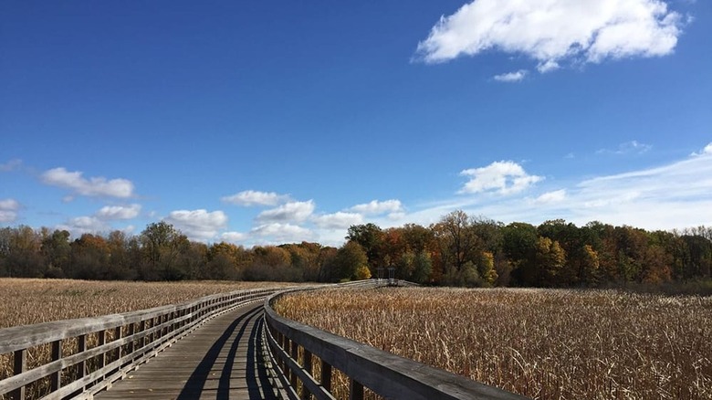 The Lake Abram Boardwalk trail at Big Creek Preserve.