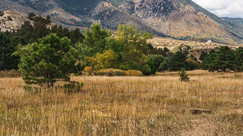 View of the Rockies at Ute Valey Park