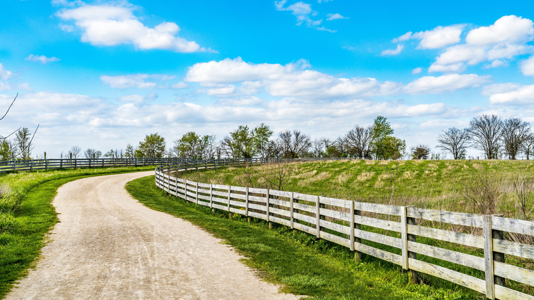 One of the main hiking and biking paths in Ohio's Battelle Darby Creek Metro Park