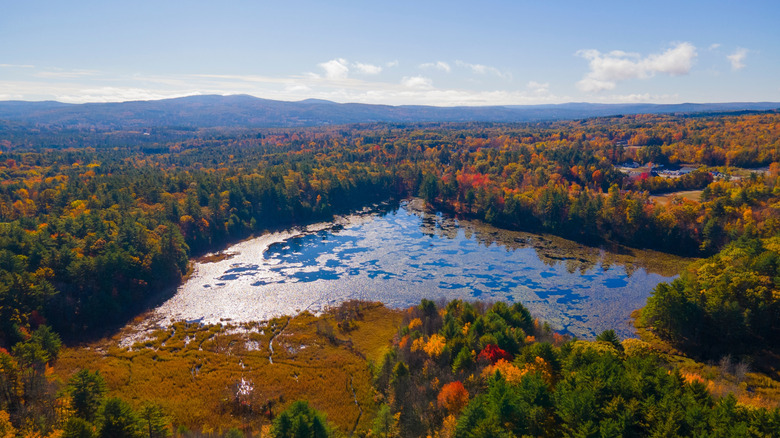 Aerial view of Marsh Pond