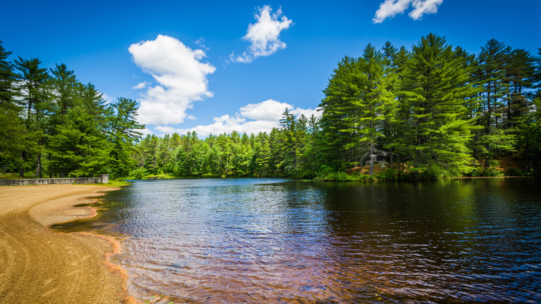 Beach on a lake at Bear Brook State Park, New Hampshire