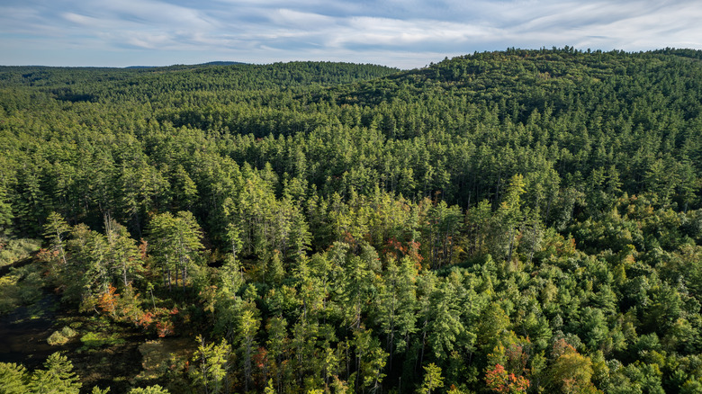 Aerial view of Bear Brook State Park, New Hampshire in early autumn