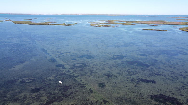 The flats of Aransas Pass, Texas