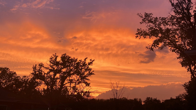 Summer sunset over trees in Waukee