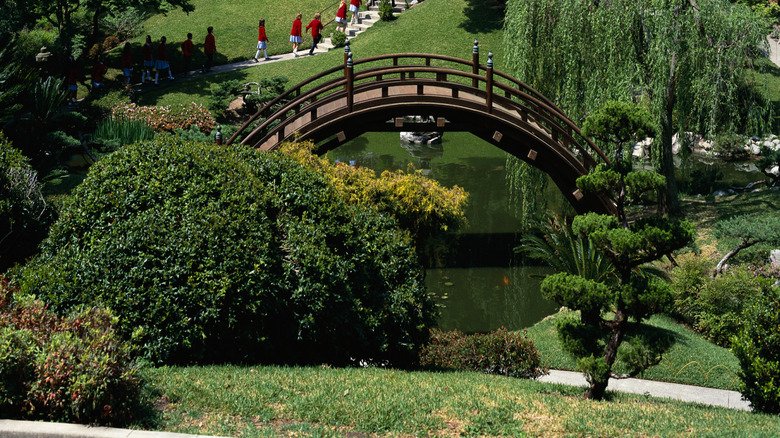 Bridge surrounded by trees at the Botanical Gardens in Pasadena, CA