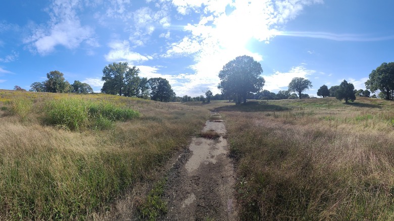 A dirt trail through tall grass in T.O. Fuller State Park in Memphis, Tennessee.
