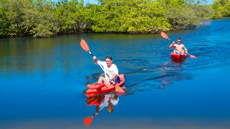 Kayakers in Robinson Preserve, Bradenton, Florida
