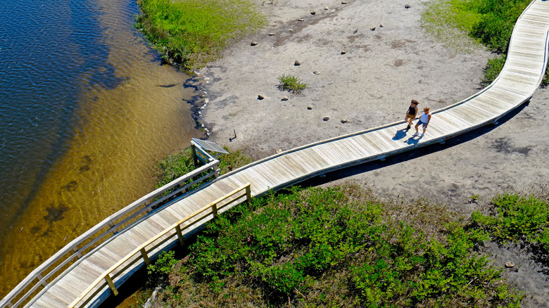 People on a walking trail in Robinson Preserve, Bradenton, Florida
