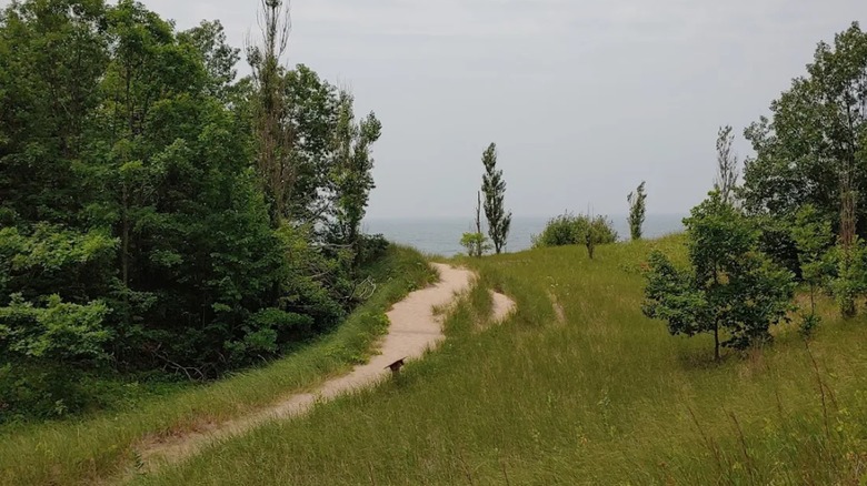 Trail through Kirk Park, Michigan