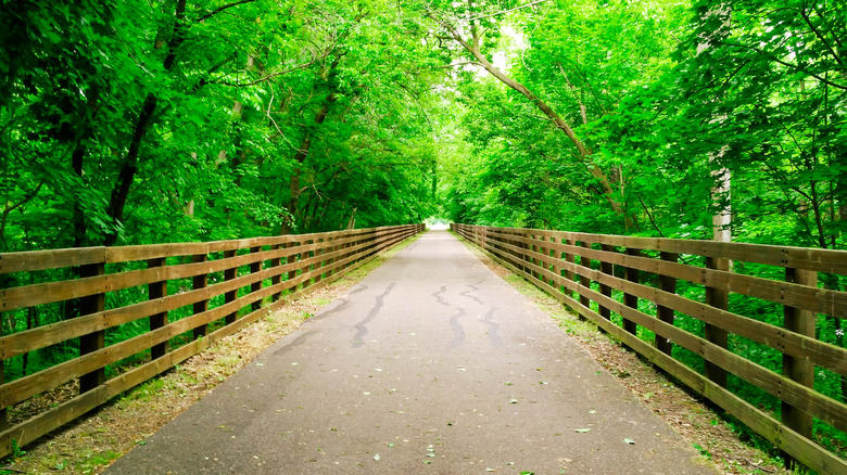 Wooden Bridge on Ohio hiking trail