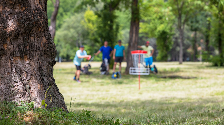 A group of friends frisbee golfing in a green, sunny park