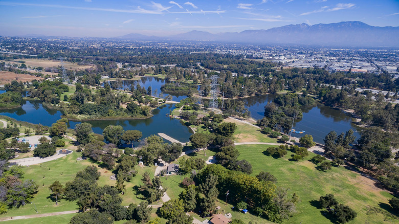 Aerial view of lakes and trees in the Whittier Narrows Recreation Area near El Monte, California