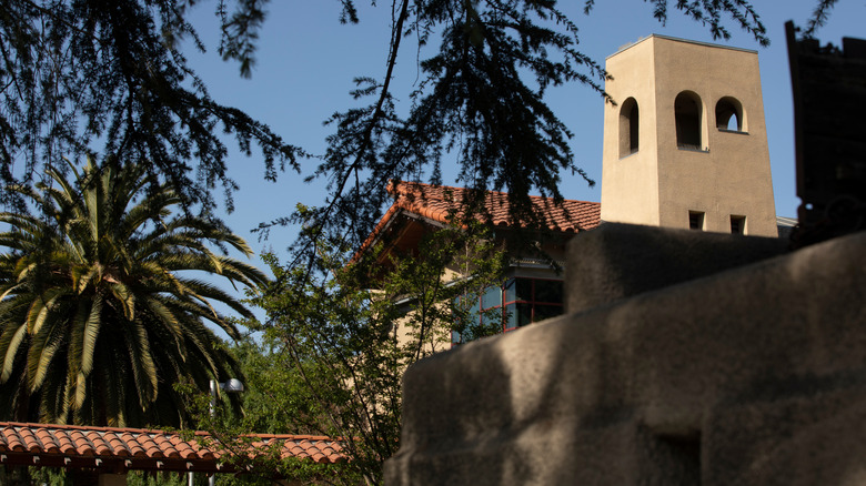 Buildings obscured by tree branches in downtown El Monte, California