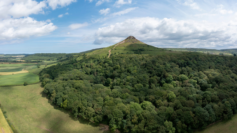 Aerial view of the trees in the foreground, and the peaked hill of Roseberry Topping and surrounding fields near Guisborough, England