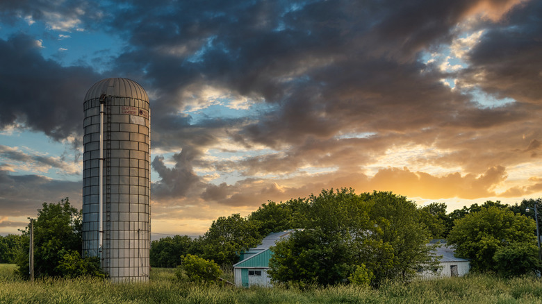 Farm in Germantown Wisconsin