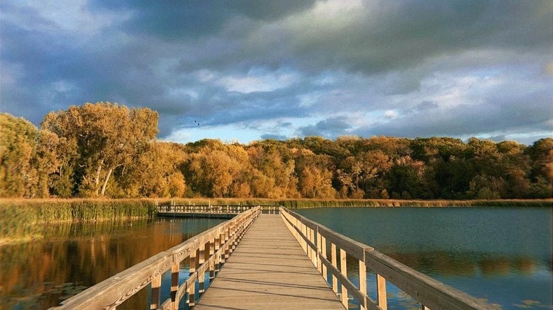 A boardwalk going out into the lake of the Westwood Hills Nature Center at dawn.