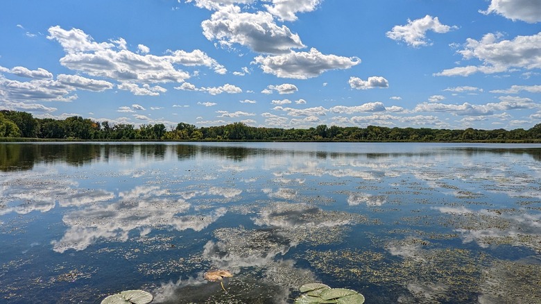 The lake in Westwood Hills Nature Center in St. Louis Park with blue skies reflecting off the water and trees on the distant shore