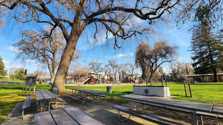 Picnic tables in the foreground and a playground in the background in Jacob Myers Park in Riverbank, California