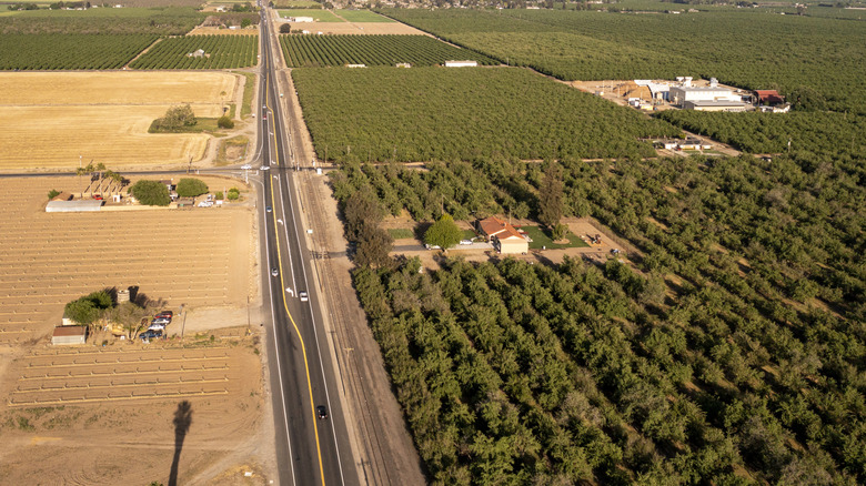Aerial view of the agricultural lands surrounding Escalon, California